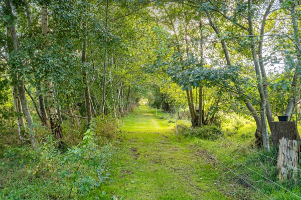 Foto - Te koop: Lietsweg 6, 9364 TB Nuis